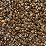 Bear Fight Coffee 12 oz bag