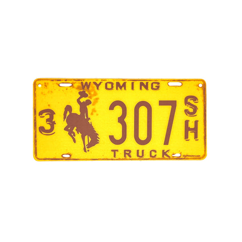 License Plate Sticker