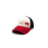 Classic Bison Unstructured hat