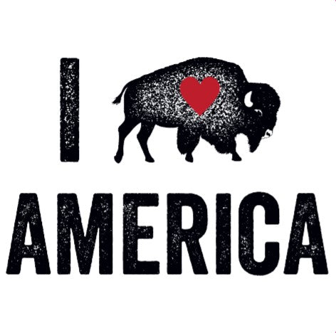 I love America Sticker