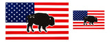 American Flag Stickers - Large