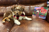 Ace The Bison "Be The Bison" Children's Book One
