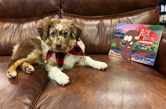 Ace The Bison "Be The Bison" Children's Book One